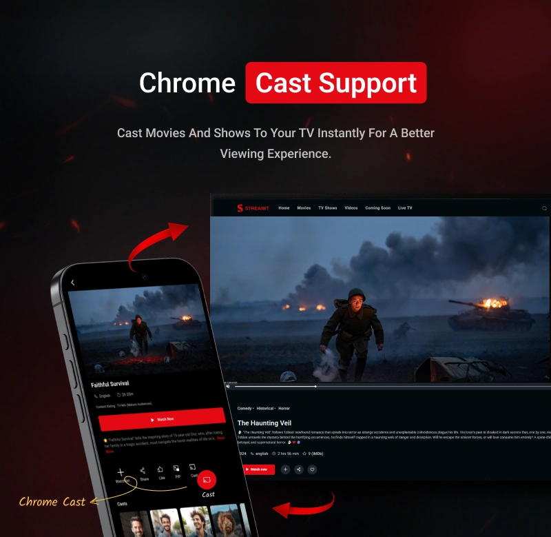 Streamit Laravel - Movie, TV Show, Video Streaming Platform With Laravel with ChatGPT 